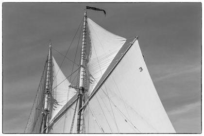 Picture of NEW ENGLAND-MASSACHUSETTS-CAPE ANN-GLOUCESTER-GLOUCESTER SCHOONER FESTIVAL-SCHOONER SAILS