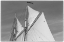 Picture of NEW ENGLAND-MASSACHUSETTS-CAPE ANN-GLOUCESTER-GLOUCESTER SCHOONER FESTIVAL-SCHOONER SAILS