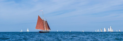 Picture of NEW ENGLAND-MASSACHUSETTS-CAPE ANN-GLOUCESTER-GLOUCESTER SCHOONER FESTIVAL-SCHOONER PARADE OF SAIL