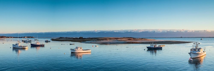 Picture of NEW ENGLAND-MASSACHUSETTS-CAPE COD-CHATHAM-CHATHAM HARBOR-DAWN