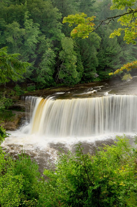 Picture of UPPER TAHQUAMENON FALLS-TAHQUAMENON FALLS STATE PARK-UPPER PENINSULA-MICHIGAN