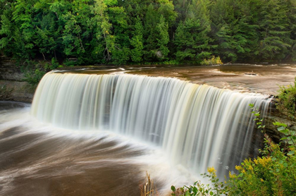 Picture of UPPER TAHQUAMENON FALLS-TAHQUAMENON FALLS STATE PARK-UPPER PENINSULA-MICHIGAN