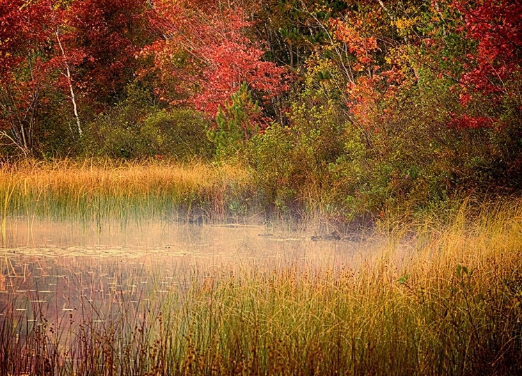 Picture of US-MICHIGAN-UPPER PENINSULA THORNTON LAKE