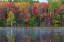 Picture of THORNTON LAKE IN FALL COLOR-ALGER COUNTY-MICHIGAN