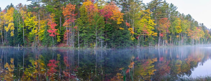 Picture of COUNCIL LAKE IN FALL-ALGER COUNTY-MICHIGAN