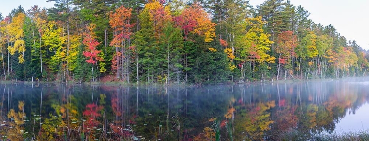 Picture of COUNCIL LAKE IN FALL-ALGER COUNTY-MICHIGAN