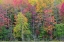 Picture of THORNTON LAKE IN FALL COLOR-ALGER COUNTY-MICHIGAN