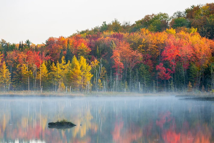 Picture of COUNCIL LAKE IN FALL COLOR-ALGER COUNTY-MICHIGAN