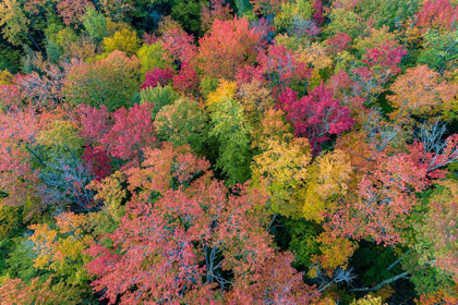 Picture of AERIAL VIEW OF HUGOBOOM LAKE IN FALL COLOR-ALGER COUNTY-MICHIGAN