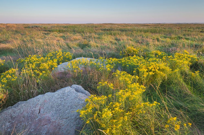 Picture of TOUCH THE SKY PRAIRIE SOUTHWEST-MINNESOTA