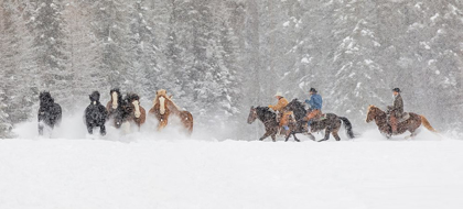 Picture of PANORAMIC VIEW OF COWBOYS DURING WINTER ROUNDUP-KALISPELL-MONTANA