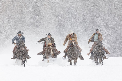 Picture of COWBOYS DURING WINTER ROUNDUP-KALISPELL-MONTANA
