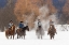 Picture of COWBOYS DURING WINTER ROUNDUP-KALISPELL-MONTANA