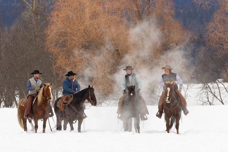 Picture of COWBOYS DURING WINTER ROUNDUP-KALISPELL-MONTANA