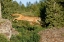 Picture of MOUNTAIN LION JUMPING ACROSS ROCKS-PUMA CONCOLOR-CAPTIVE