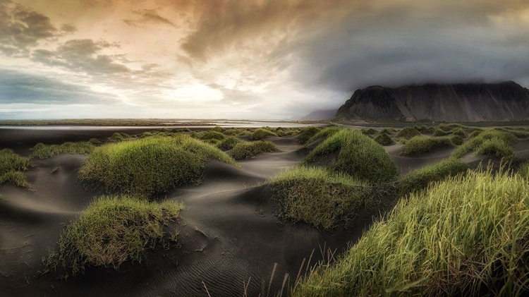 Picture of BLACK DUNES