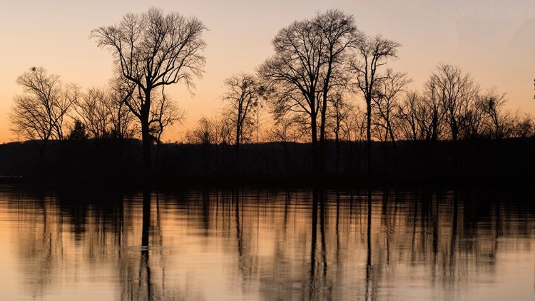 Picture of ISLAND REFLECTIONS