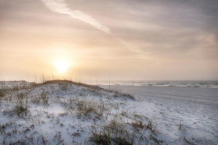 Picture of FOGGY DUNES