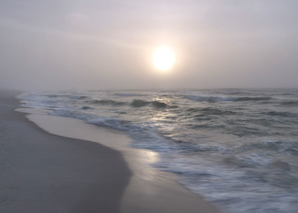 Picture of SURF II