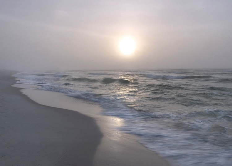 Picture of SURF II