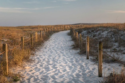 Picture of BEACH TRACKS