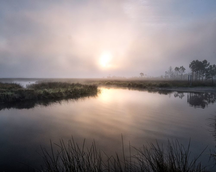 Picture of FOG ON THE BAYOU