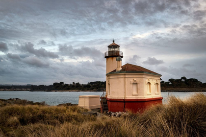 Picture of COQUILLA LIGHT