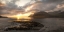 Picture of MIDNIGHT SUN