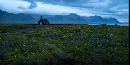 Picture of WILDFLOWERS IN YELLOW AND BLUE