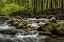Picture of BIG CREEK