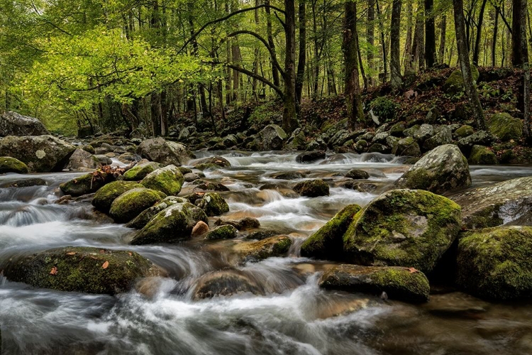 Picture of BIG CREEK