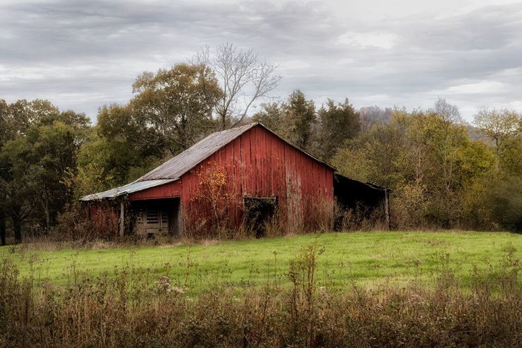 Picture of WARM AUTUMN