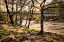 Picture of SWANN BRIDGE I
