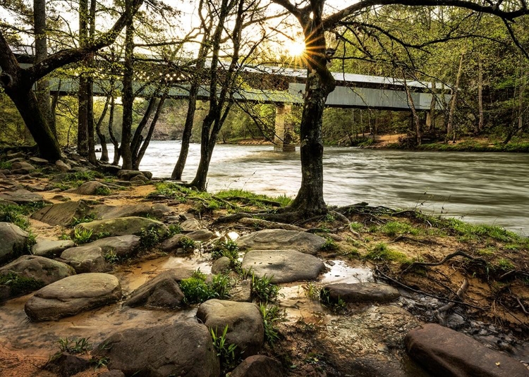 Picture of SWANN BRIDGE II