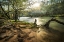 Picture of SWANN BRIDGE VI