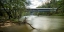 Picture of SWANN BRIDGE VII