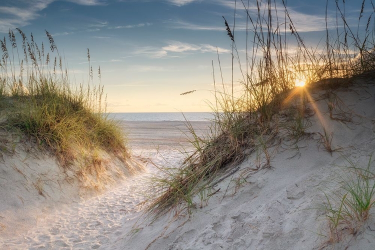 Picture of THE DUNES