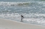 Picture of WADING I