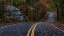 Picture of AUTUMN DRIVE III