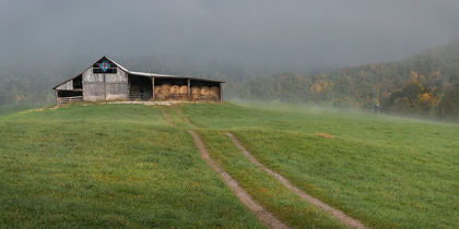 Picture of FOG AT THE FARM
