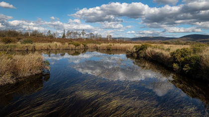 Picture of BLACKWATER CREEK