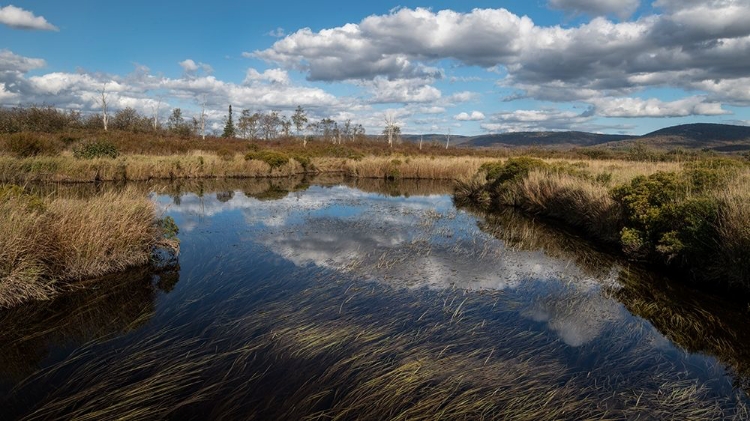 Picture of BLACKWATER CREEK