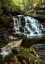 Picture of SHAYS RUN I