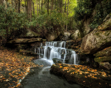 Picture of LOWER ELAKALA FALLS