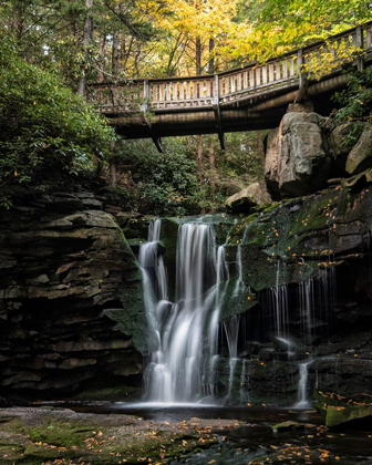 Picture of ELAKALA FALLS I