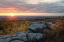 Picture of YELLOW DAWN II