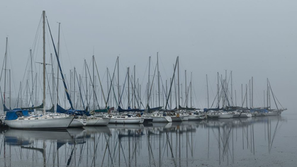 Picture of FOGGY MARINA II