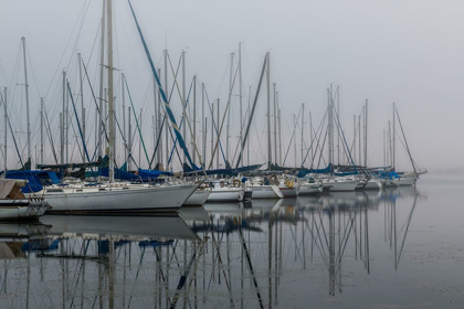 Picture of FOGGY MARINA II