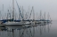 Picture of FOGGY MARINA II