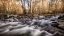 Picture of RIVERS FORK